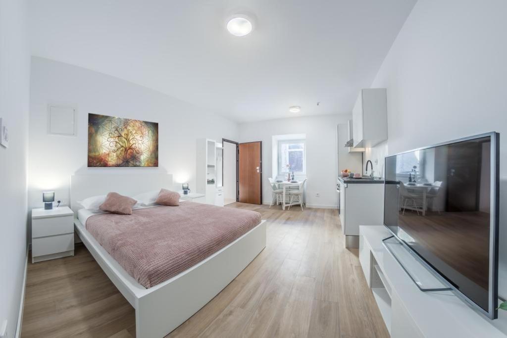 Apartment Klara Free Parking, Center بولا المظهر الخارجي الصورة